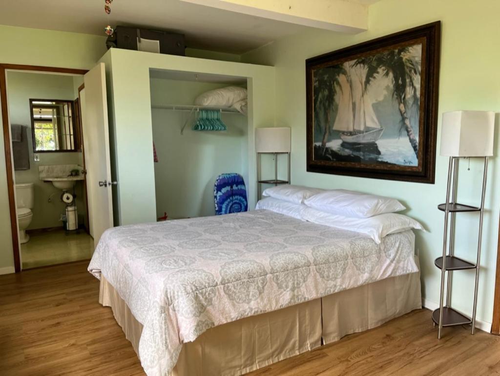 Waipio Studio Apartment Kukuihaele Extérieur photo